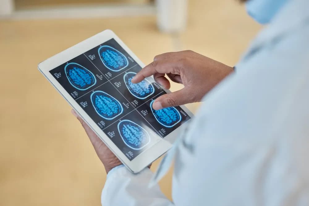 Máster de Formación Permanente en Cartografía Cerebral Aplicada