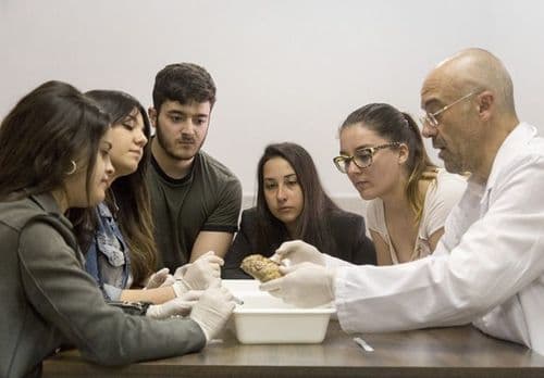 Conoce dónde vas a formarte