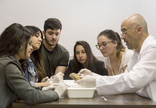 Conoce dónde vas a formarte